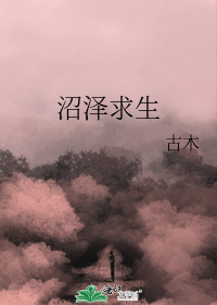 雪人庄杀人事件