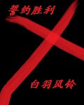 半生红尘半生神